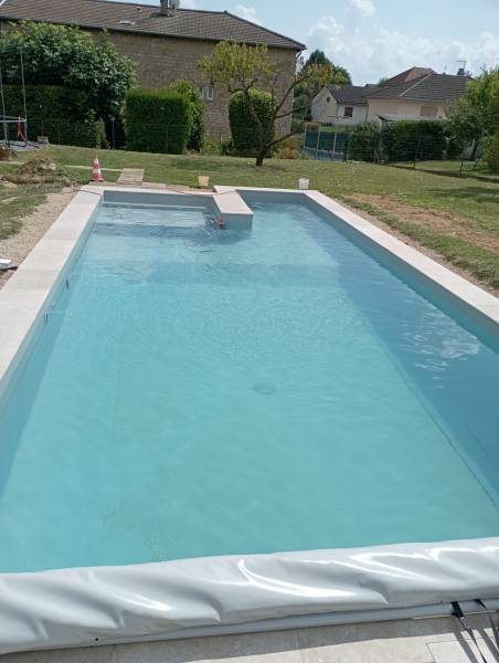 Réalisation d'une piscine forme libre de 8 m 4 m située à Replonges